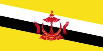 Flag_of_Brunei.svg (1)
