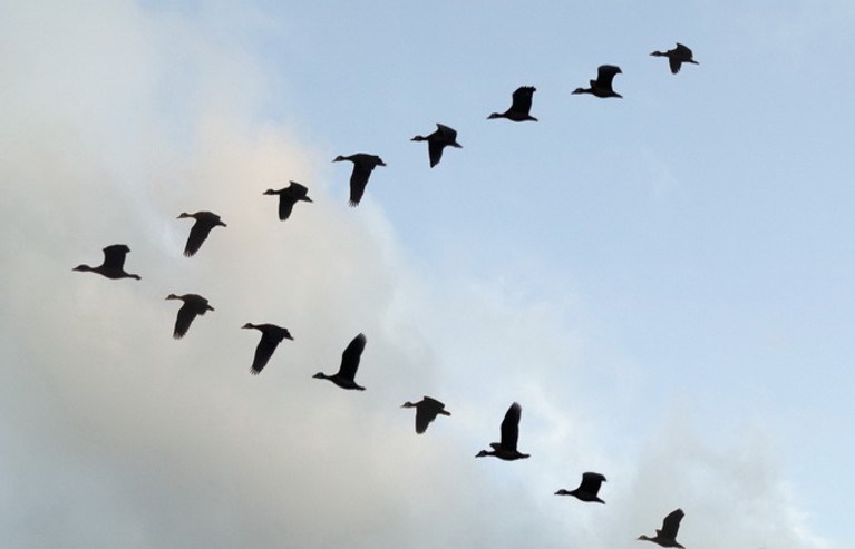 Screenshot 2025-05-02 171219